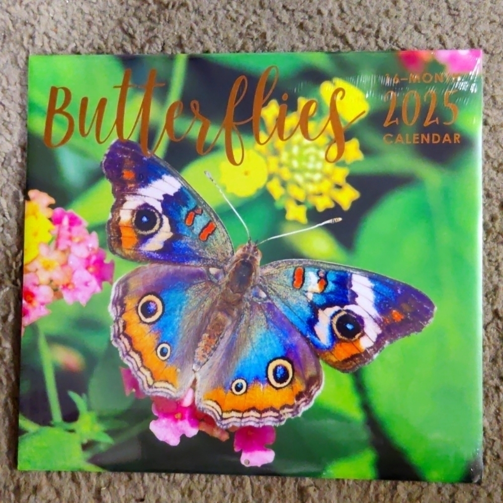 2025 Butterflies 16 Month Calender